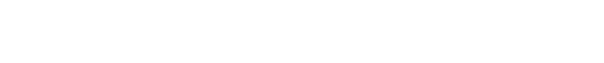 Leconic Cruises